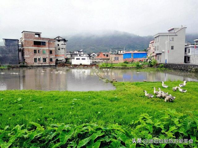 游客在清远连州遇雨：误打误撞进千年古村，南汉“宰相”后人聚居