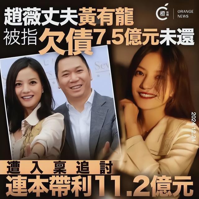 拔出萝卜带出泥！49岁赵薇近况被曝，原来圈内封杀只是冰山一角