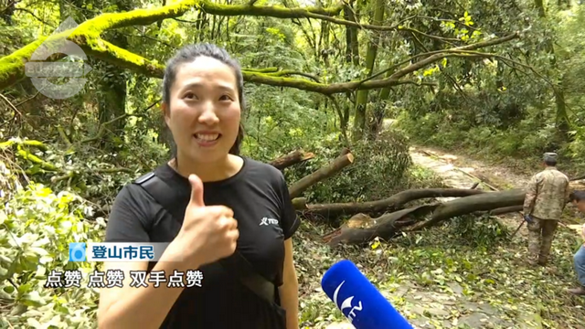 雨后大树 “躺平” 堵路，郊野公园 “外援”上线