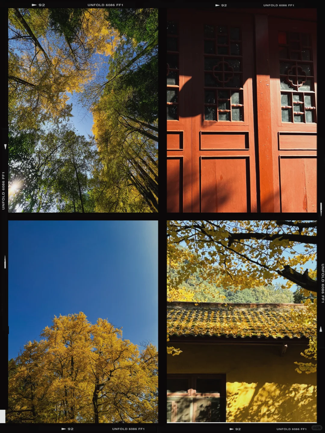 黄了红了！成都1.5h直达大邑白岩寺，徒步赏叶登顶攻略看这里~