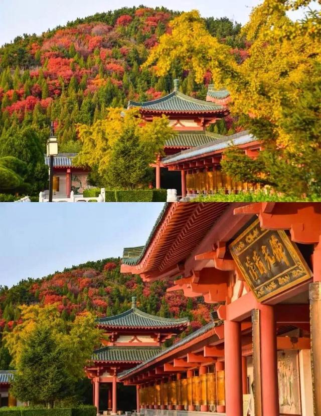 你好啊，烟台的秋天！