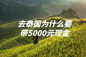 去泰国为什么要带5000元现金,真相大白!图片