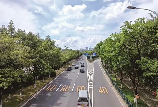 综艺同款生活落地番禺，房车旅行仪式感拉满