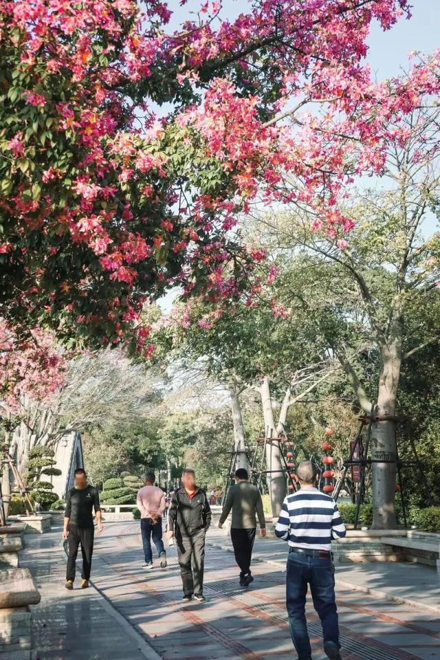 冬日暖阳里，来丰泽这儿享受惬意时光……