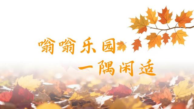 即刻出发！这个宝藏乐园迎来一年中最美时节！