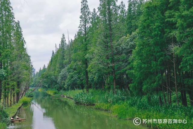 东太湖好晨光：吃面、吸氧、逛展，三步上头！