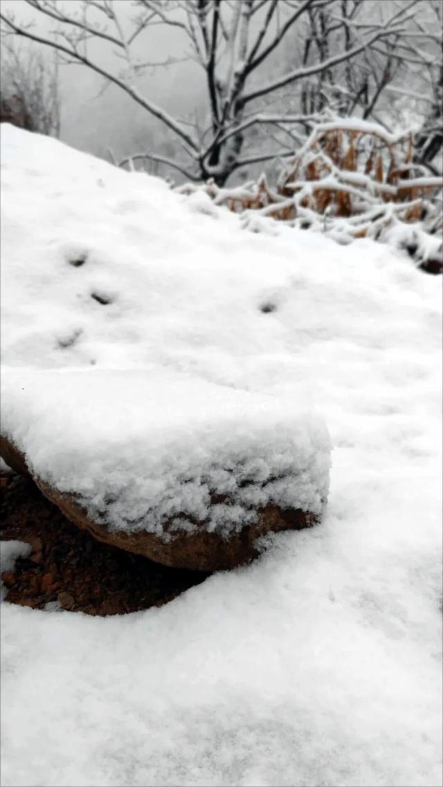 大雪暴雪、中雨大雨要来了！