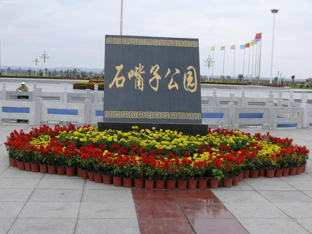 [宁夏 石嘴山市惠农区]