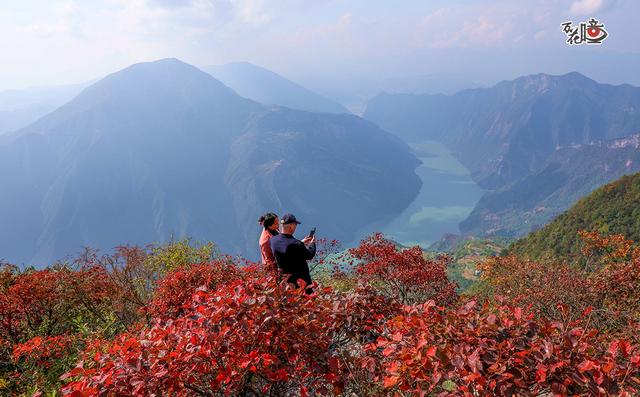 万花瞳｜限定版“彩林森林” 这是属于山城的冬日浪漫