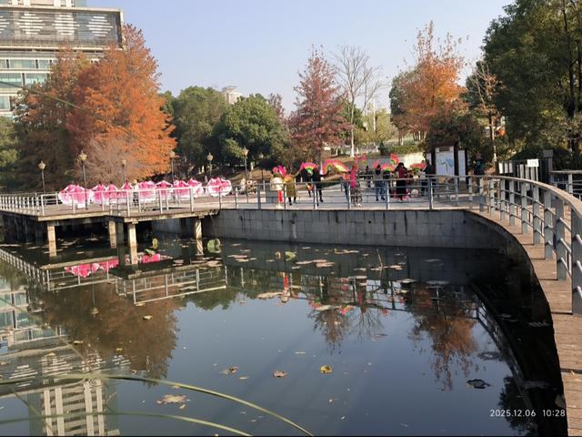 行走在月湖公园