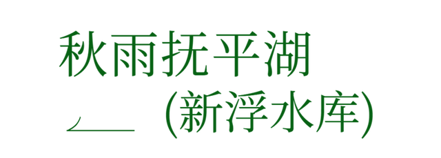 太美！来看金坛茅山私藏的「秋雨仙境」