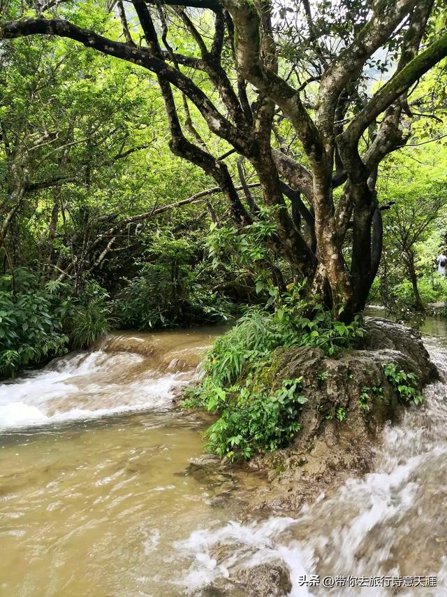 小七孔景区的瀑布和水石森林