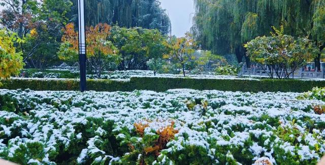 临洮秋天的雪，来啦！