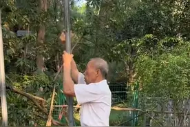 公园78岁大爷硬核健身图片
