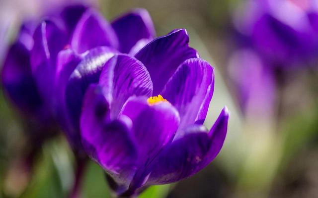 情感爆文：遇见	，没有早晚，没有对错；缘份，没有长短，只有珍惜