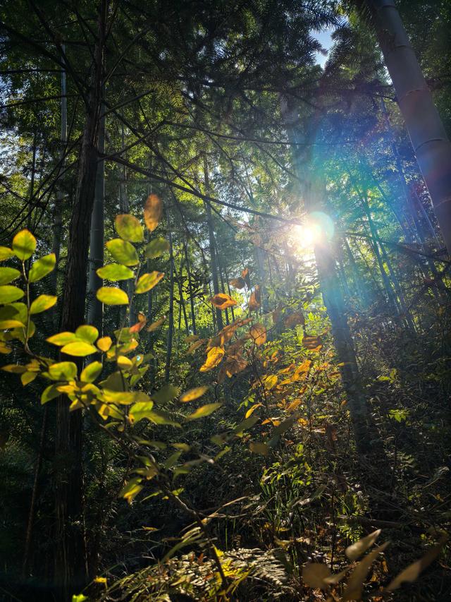 徒步八都岕黄金大道