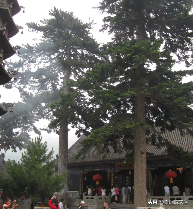 漫游五台山