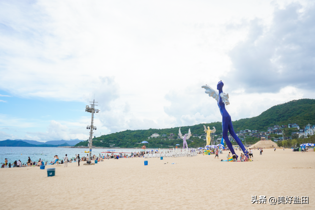 别抢迪士尼了！盐田“海洋非遗”研学开闸，名额秒没，手慢无！