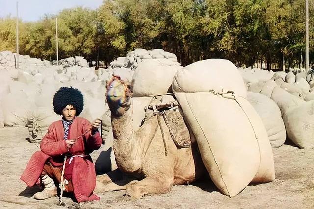 探访中亚最神秘国度：全境断网、满街白车，真实生活超乎想象