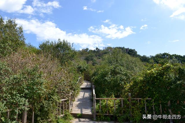 河北百草畔（中）：览尽三山舒望眼，行穿百草浣尘襟