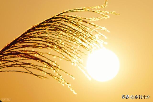 “上午立冬大雪封门，下午立冬单衣过冬”，今年几点立冬？冷冬吗