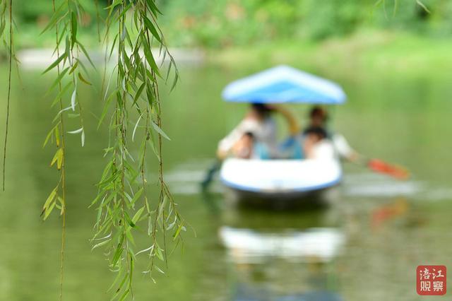 一“叶”知冬来！漫步仿古园林，解锁初冬浪漫