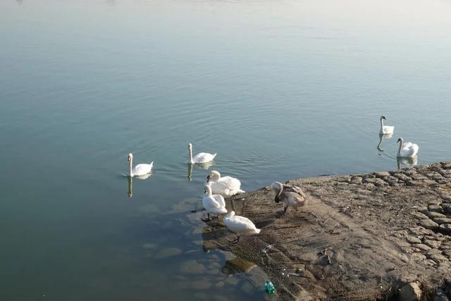 塞尔维亚，一座被轰炸过78天的城市的新生，贝尔格莱德一日游记