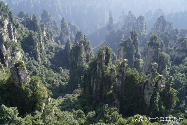 杨家界千米悬崖上的天空之路，揭秘杨家界“天然雕塑群”