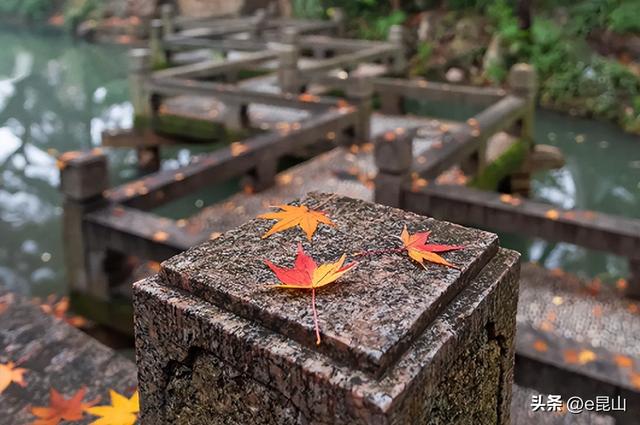 久等了！红透啦！