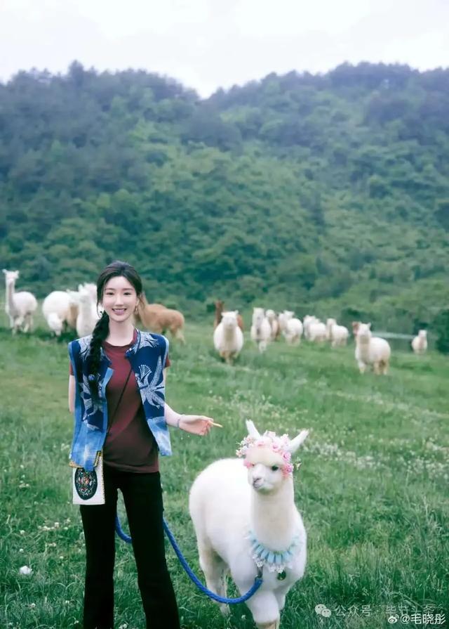 25元/人!毕节正式开通