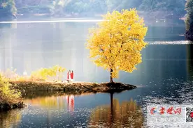 秋意正浓！快来欣赏十堰最美的秋景图片