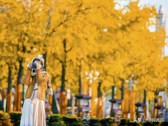 拥堵预警！这周末大家都去......