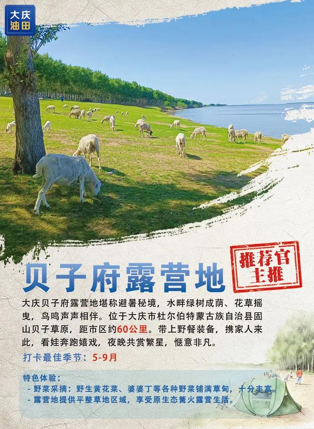 带你解锁这座油城的夏日宝藏打卡地！