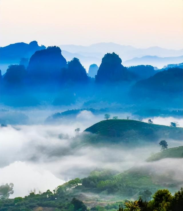 周末市民文化节邀您共赏共品普洱茶咖盛会