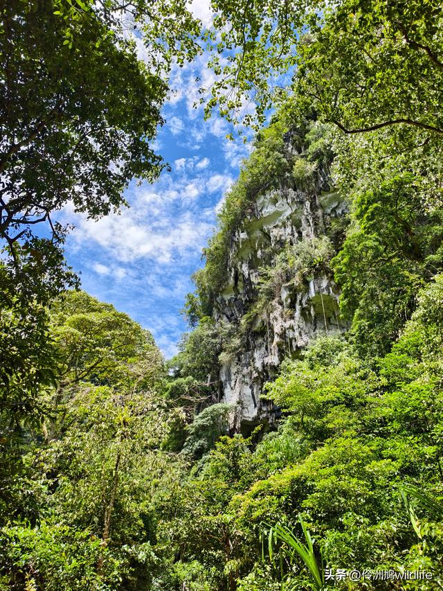 马来西亚(32)砂拉越州⑥世界遗产尼亚洞窟探险