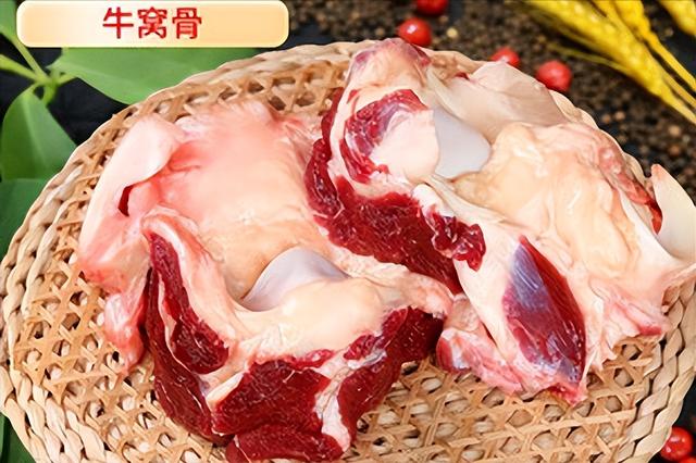 津门文脉：一座城的前世今生与文化底气