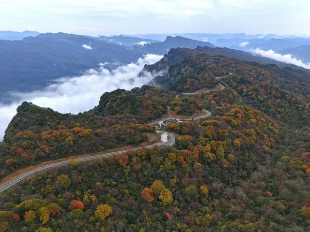 一步一景！旺苍盐井峡五彩斑斓，就像秋日童话甚是迷人！