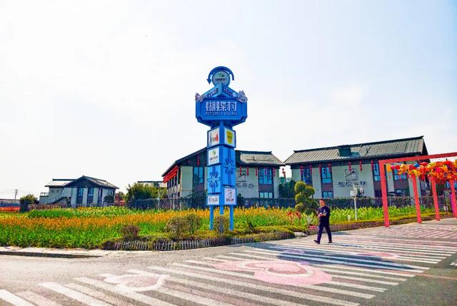 100%出片!郫都蝴蝶村彩色油菜花海,进入最美花期