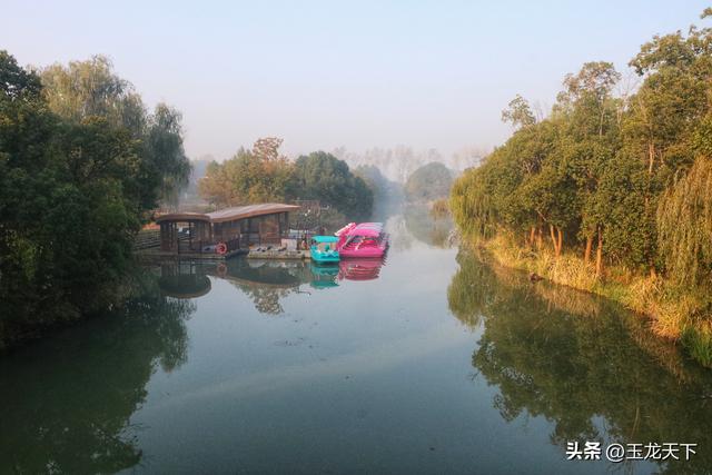 晨光与深呼吸：在同里湿地公园的万步悠然