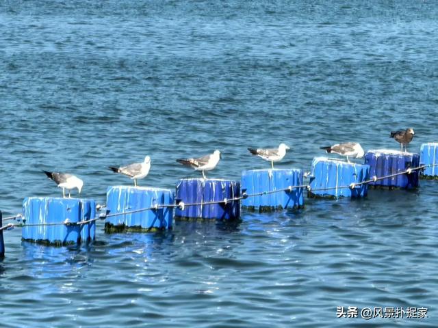 海边风景随手拍