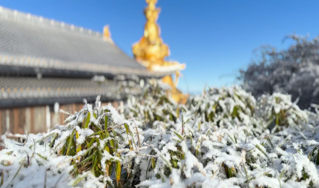 峨眉山这种级别的秋景，我愿称之为饱和度战神