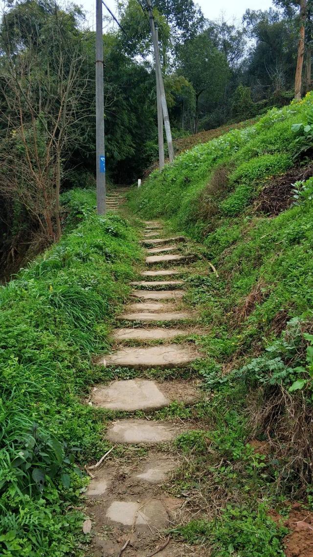 重庆荒效野岭发现大量石碑，碑身高大雕工精美，每块都有百年历史