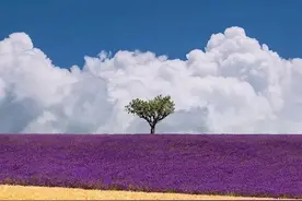 头像｜简约大气，个性却不张扬图片