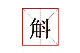 "斛"怎么读?什么意思?"石斛"的意思是指什么?图片