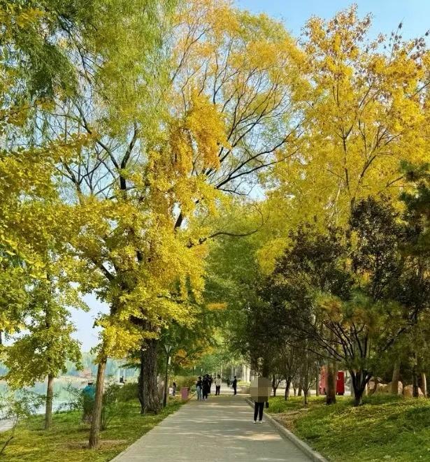 跑步，是一场与自己的诚实对话