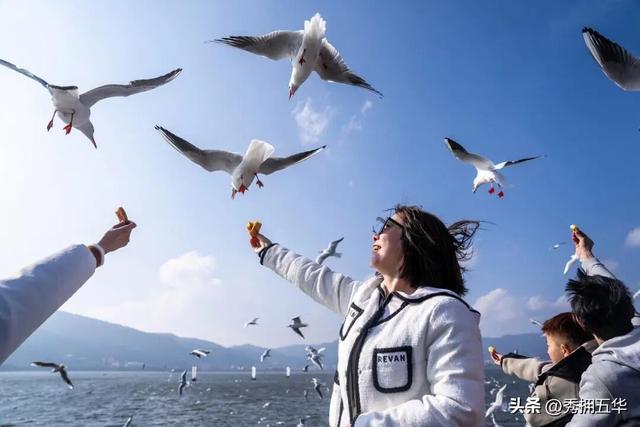 冬之云南 万羽衔霜｜新霞客·旅居记