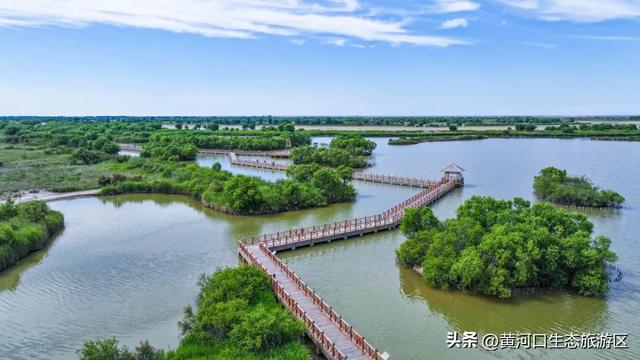 【黄河口生态旅游区】开学季 奔赴自然之美