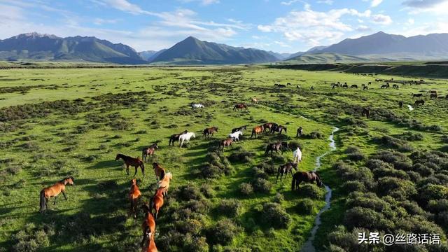 图集丨山丹湿地：生态画卷展绿意 飞鸟清波映蓝天