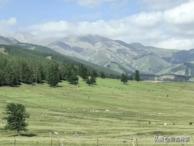 自驾新疆,从哈密到阜康,分享一条小众路线,车少景美(1)