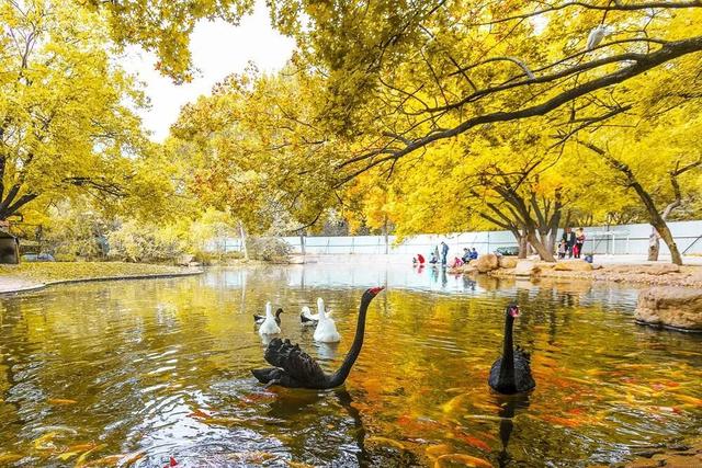 我捡，我捡，我在潍坊捡捡捡！